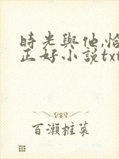 时光与他,恰是正好小说txt