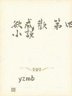 欲成欢 第四部小说