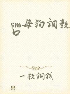 sm母狗调教重口