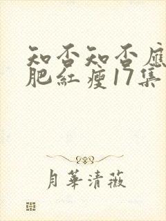 知否知否应是绿肥红瘦17集