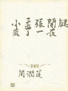 小柔张开腿让我爽了一夜