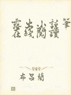 露出小说笔趣阁在线阅读