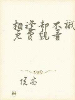 相逢却不识短剧免费观看