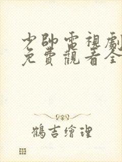 少帅电视剧超清免费观看全集在线播放