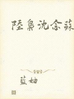 陆枭沈念苏晚封面