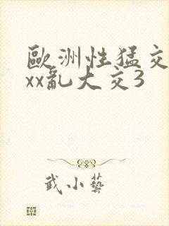 欧洲性猛交xxxx乱大交3