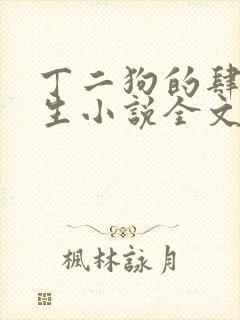 丁二狗的肆意人生小说全文