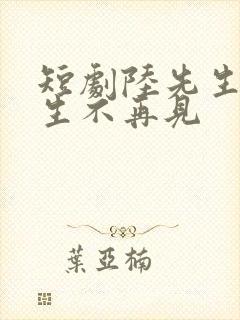 短剧陆先生,余生不再见