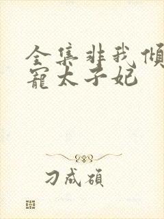 全集非我倾城独宠太子妃