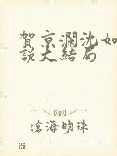 贺京澜沈如嫣小说大结局