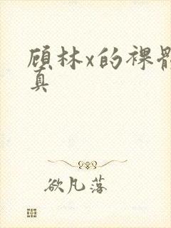 顾林x的裸体写真