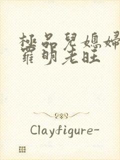 极品儿媳妇秦雨罗明老旺