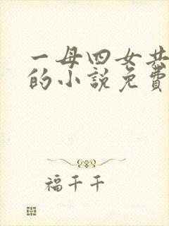 一母四女共一婿的小说免费阅读小冉