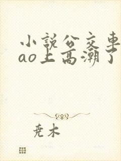 小说公交车被cao上高潮了封面