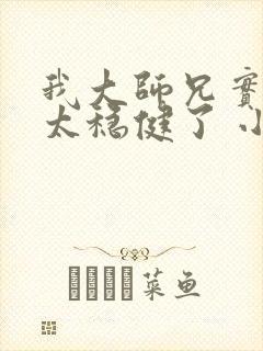 我大师兄实在是太稳健了 小说