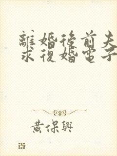 离婚后前夫哭着求复婚电子书阅读