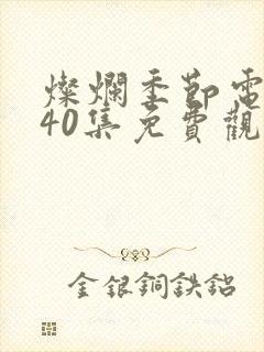 灿烂季节电视剧40集免费观看高清