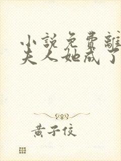 小说免费离婚后夫人她成了大佬