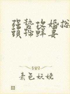 强势攻婚总裁的头号鲜妻