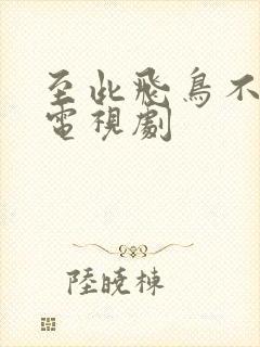 至此飞鸟不相逢电视剧