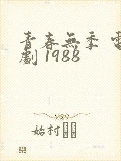 青春无季 电视剧 1988封面