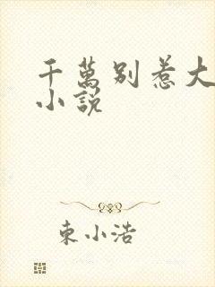 千万别惹大师兄小说