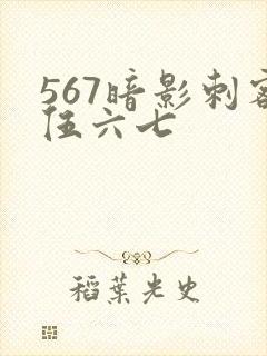 567暗影刺客伍六七