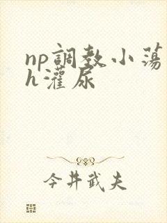 np调教小荡货h灌尿