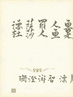 德萨罗人鱼和美杜莎人鱼是啥关系封面