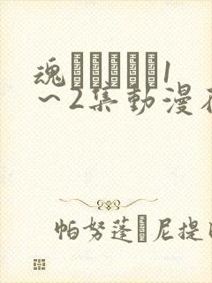 魂インサート1～2集动漫在线观看到封面