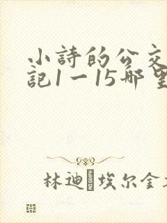 小诗的公交车日记1一15哪里能看