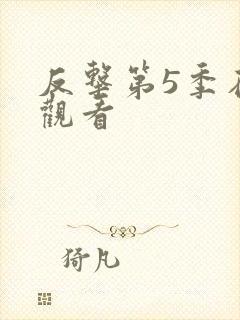 反击第5季在线观看封面