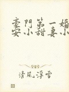 豪门第一婚:吻安小甜妻小说