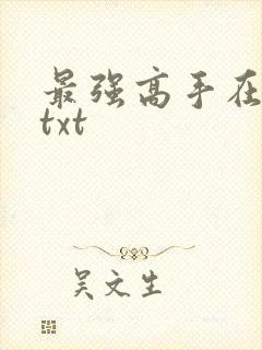 最强高手在都市txt