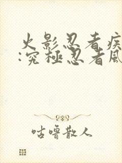 火影忍者疾风传:究极忍者风暴3