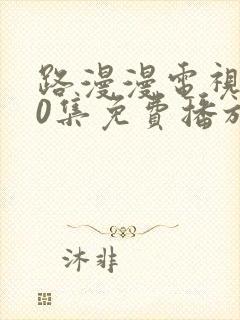 路漫漫电视剧40集免费播放