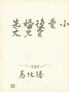 先婚后爱小说全文免费封面