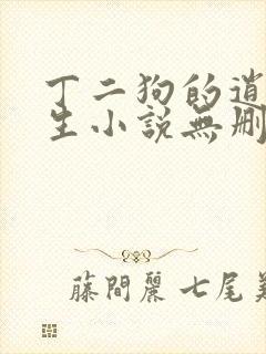 丁二狗的逍遥人生小说无删减