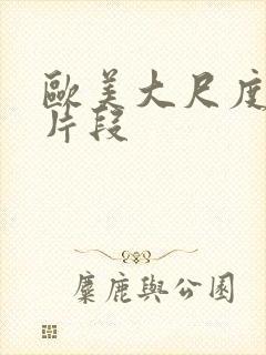 欧美大尺度床戏片段