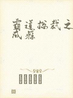 霸道总裁之宠妻成瘾封面