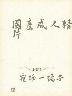 国产成人精品毛片