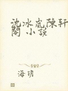 沈冰岚陈轩笔趣阁 小说封面