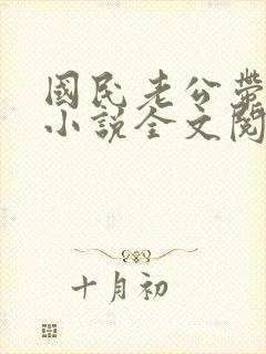 国民老公带回家小说全文阅读免费