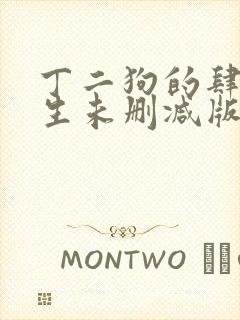 丁二狗的肆意人生未删减版小说