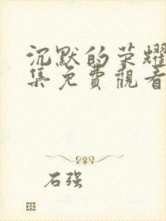 沉默的荣耀40集免费观看全集高清版