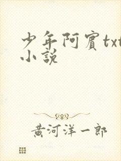 少年阿宾txt小说