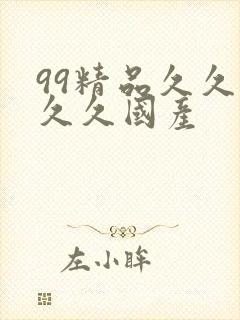 99精品久久久久久国产