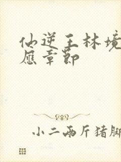 仙逆王林境界对应章节封面