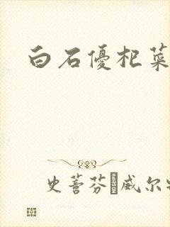 白石优杞菜封面