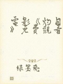 电影《灼目惊心》免费观看国语版高